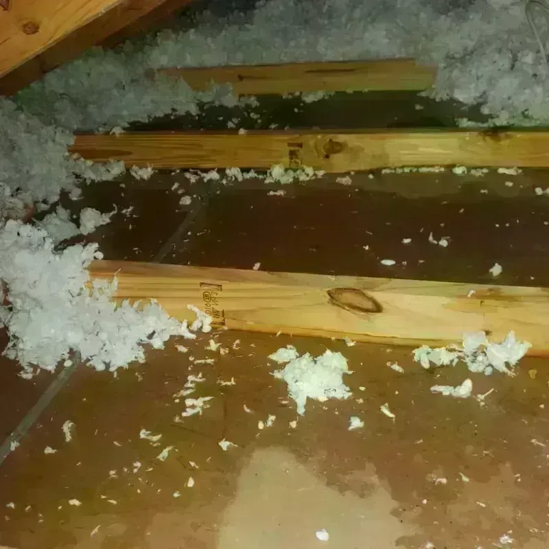 Attic Water Damage in Kern County, CA