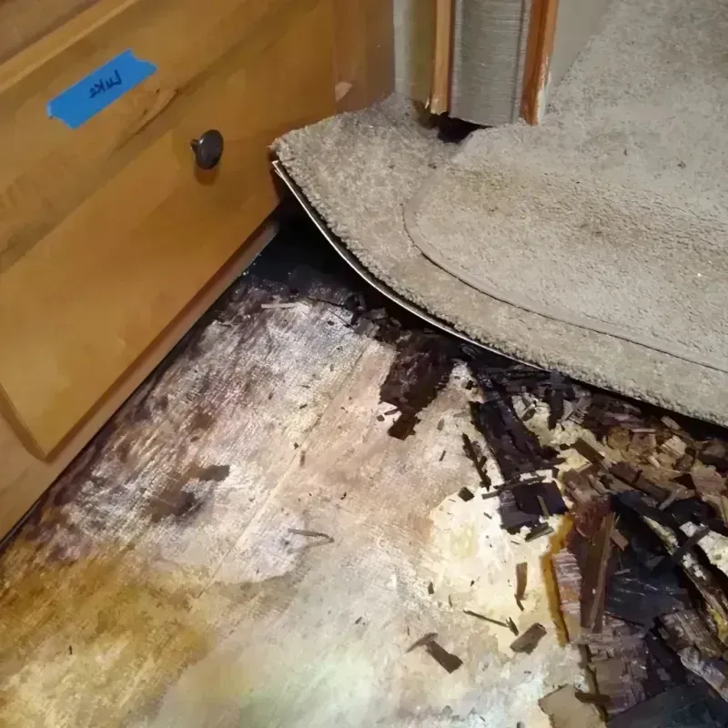 Wood Floor Water Damage in Kern County, CA